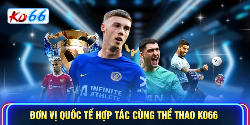 Đơn vị quốc tế hợp tác cùng Thể thao KO66