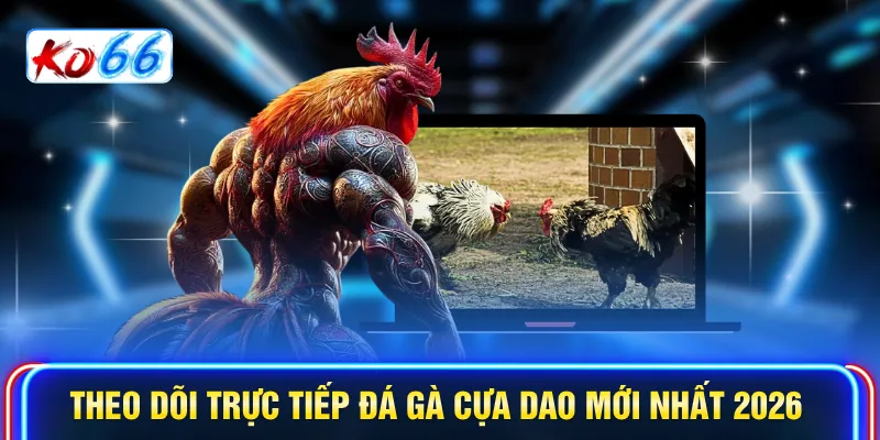 Theo dõi Trực tiếp đá gà cựa dao mới nhất 2026